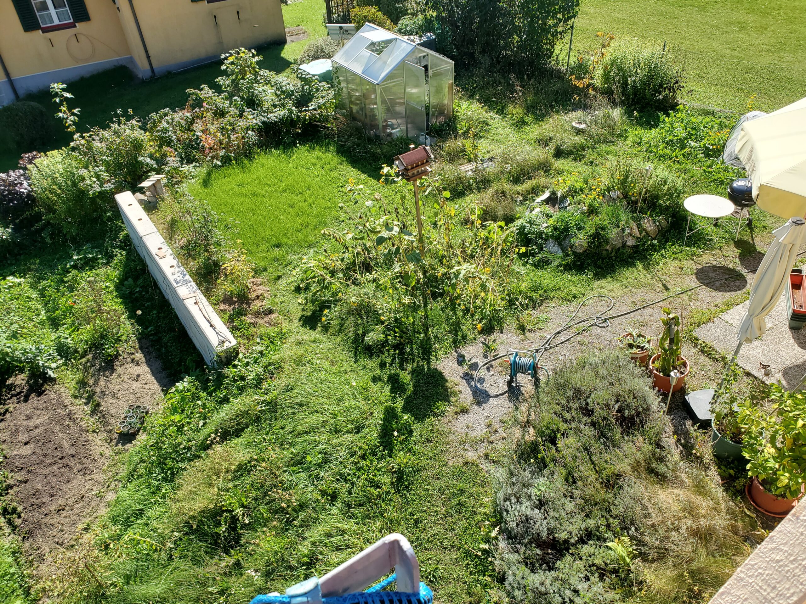 Gartenbild für wer weniger tut unterstützt die Biodiversität