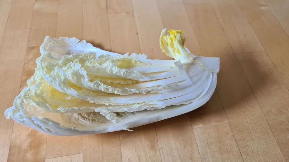 Bild von einem Viertel Chinakohl, bei dem das Herz senkrecht hochsteht. Daraus werden die Samen für Microgreens