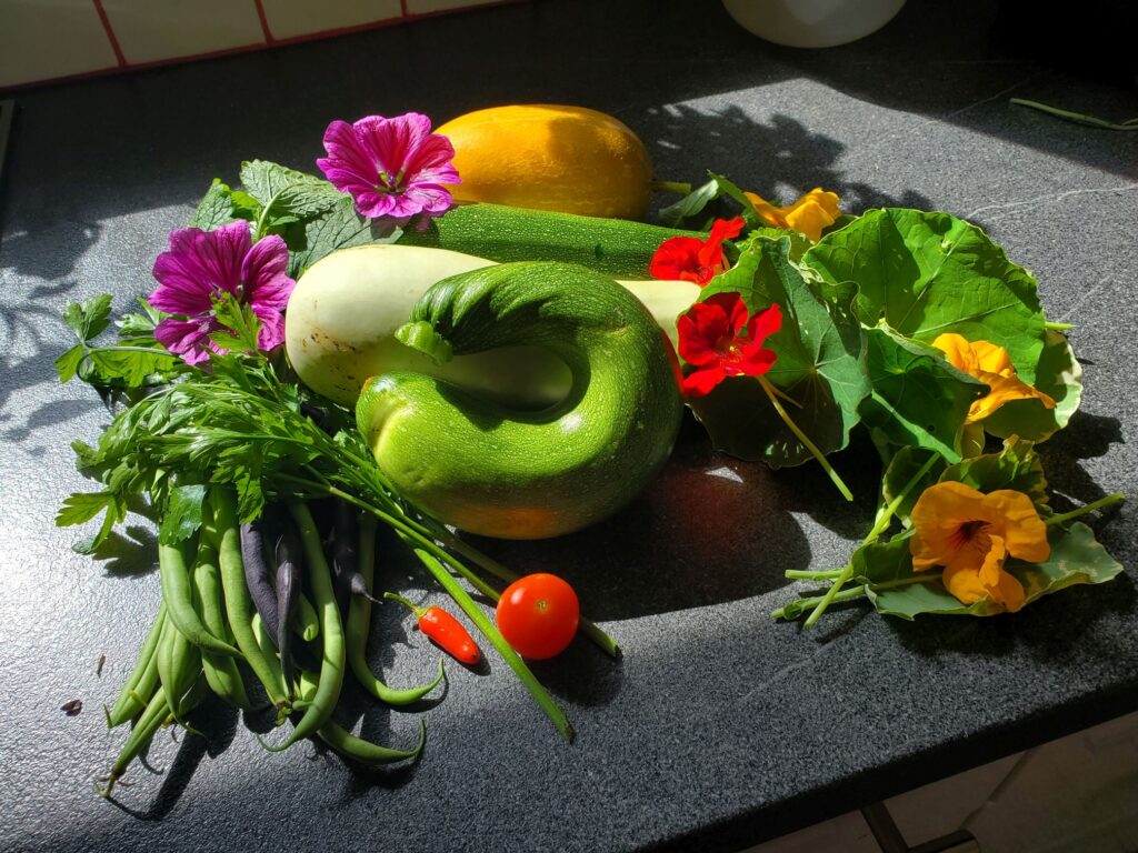 Alte Sorten Obst und Gemüse