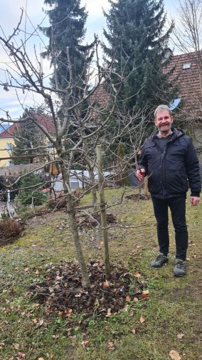 Rudi beim Baumschnitt bei einer Freundin