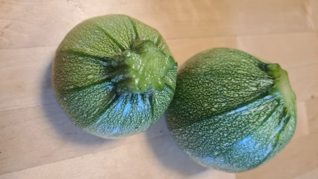 Das Bild zeigt zwei rohe runde Zucchini zum Füllen.